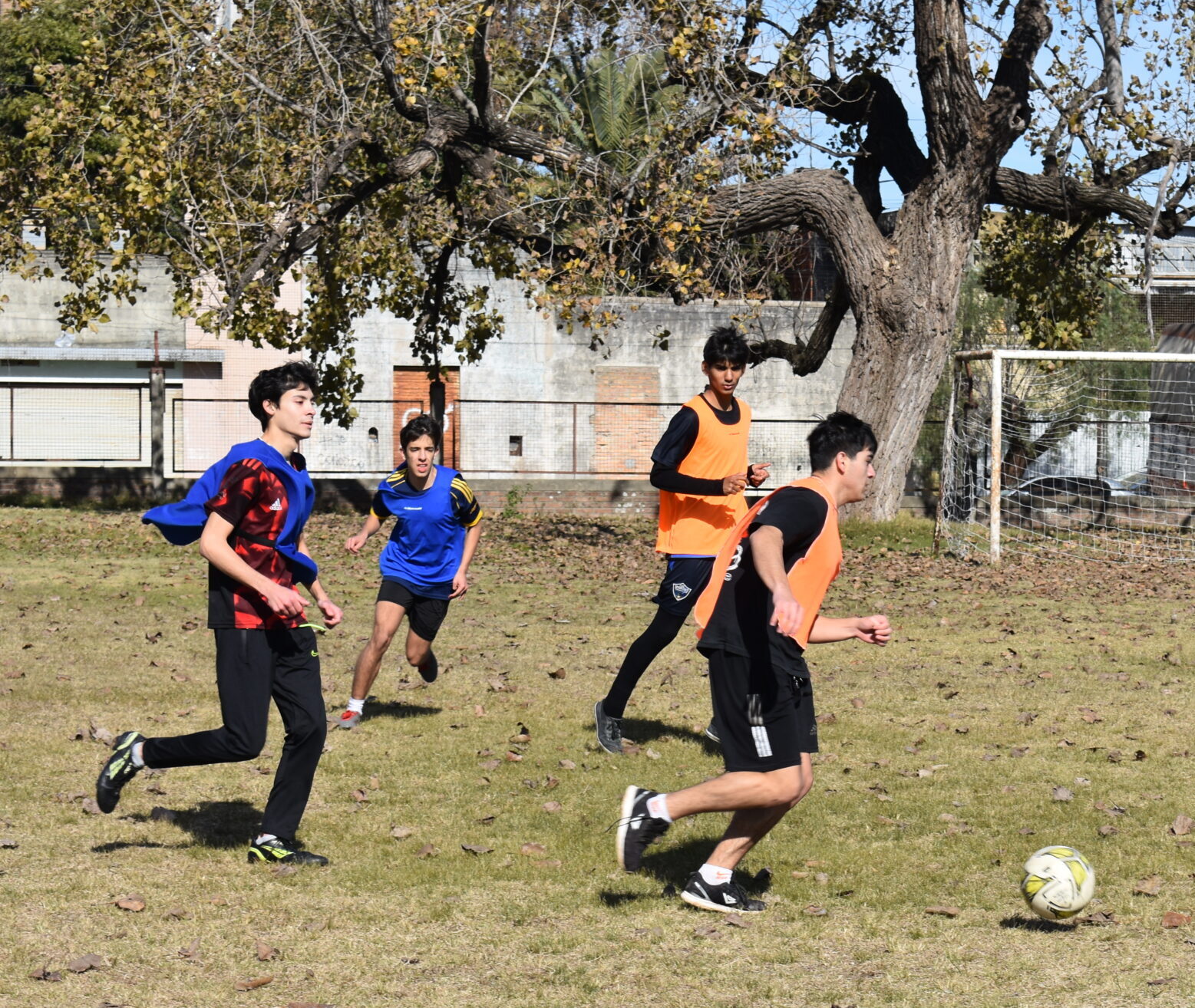 deportes cuadrado