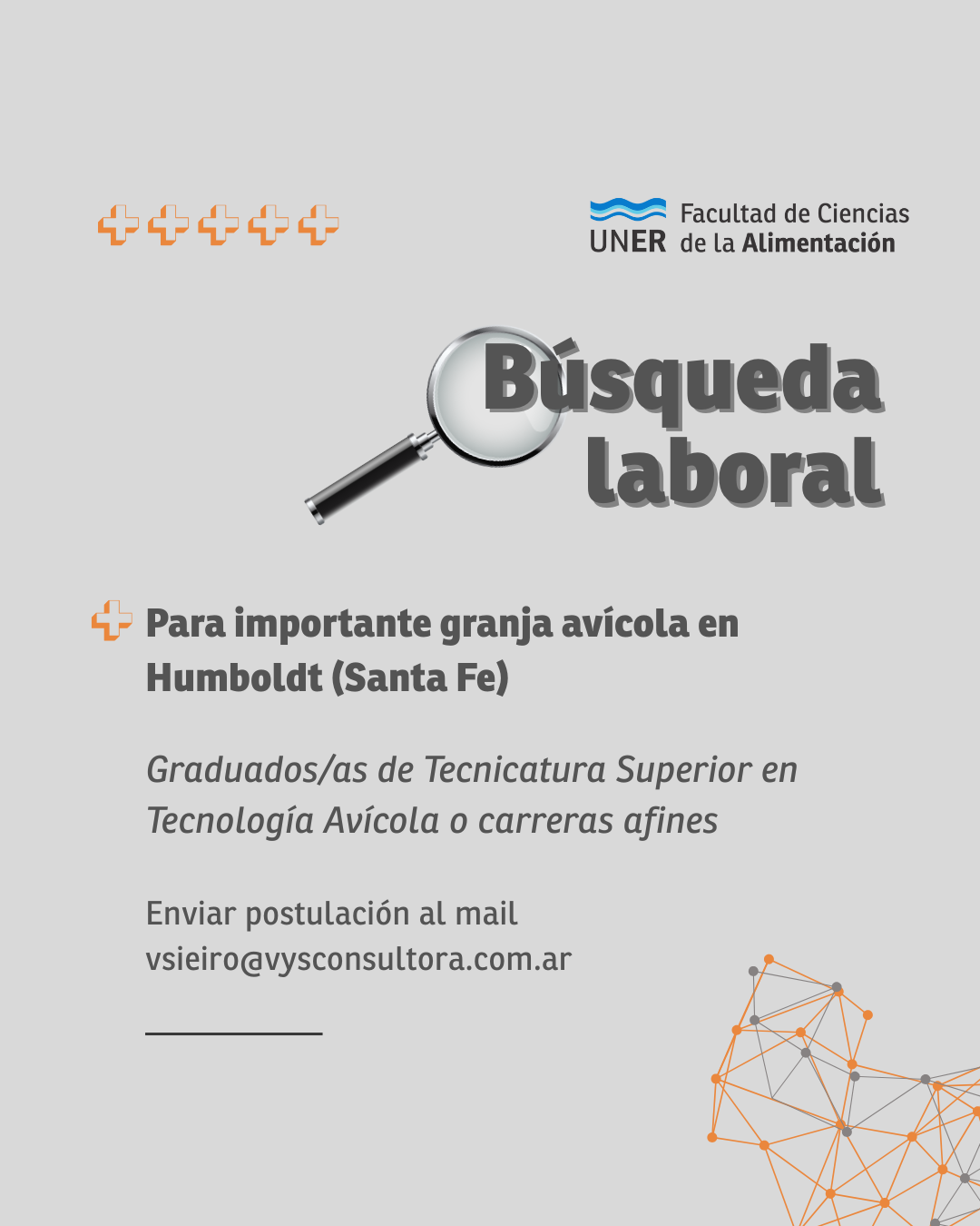 Búsqueda laboral Posteos (2)