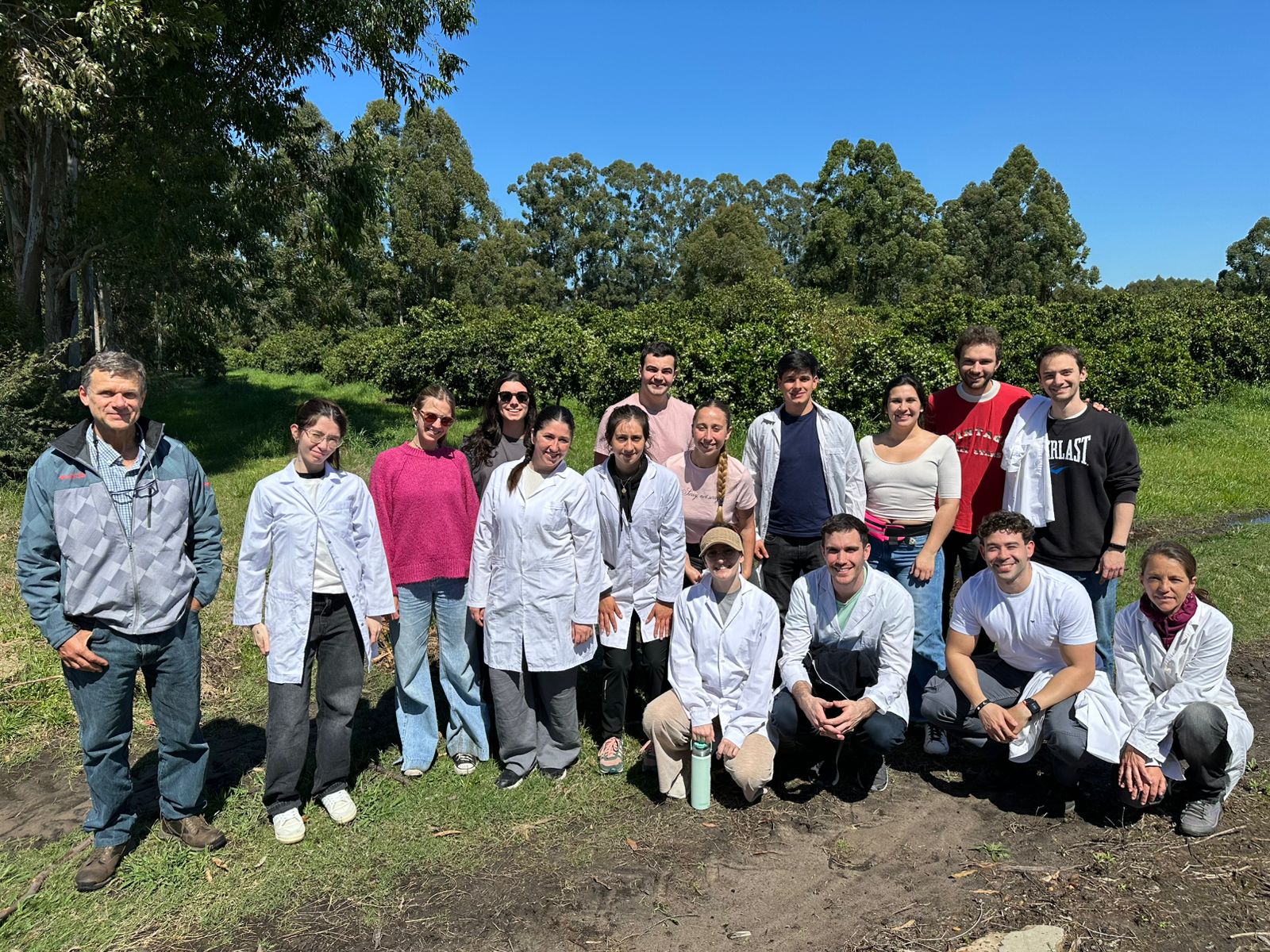 hortalizas